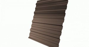 Профнастил GL20 (C20), коричневый, 2 м