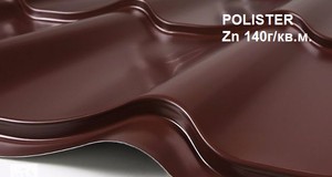 POLISTER