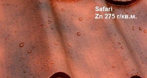 Safari